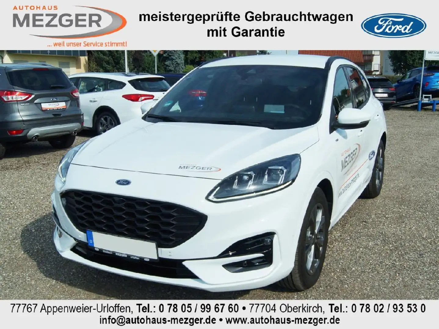 Ford Kuga ST-Line X Weiß - 1