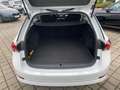 Skoda Octavia Combi 1.4 TSI iV Ambition DSG 17"Zoll LM Bianco - thumbnail 15