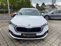 Skoda Octavia Combi 1.4 TSI iV Ambition DSG 17"Zoll LM Bianco - thumbnail 2