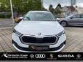 Skoda Octavia Combi 1.4 TSI iV Ambition DSG 17"Zoll LM Bianco - thumbnail 1