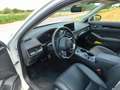 Honda Civic Civic 2.0 i-MMD e:HEV Advance Hybrid Aut. Weiß - thumbnail 5