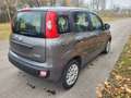 Fiat Panda Reserviert Mild Hybrid, Klima, TÜV neu, City Gri - thumbnail 2