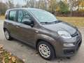 Fiat Panda Reserviert Mild Hybrid, Klima, TÜV neu, City Gri - thumbnail 1