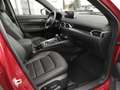 Mazda CX-5 HOMURA inkl Leasing-Extra-Bonus 360° BOSE Matrix L Rot - thumbnail 12