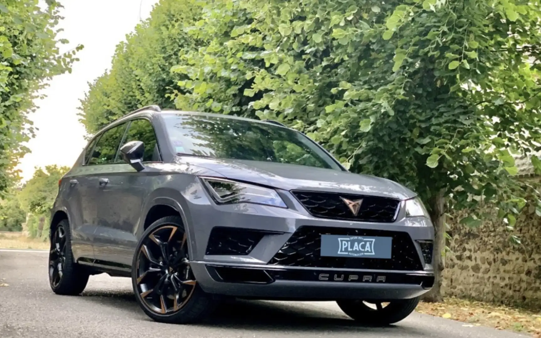 CUPRA Ateca 2.0 TSI 300 DSG 4DRIVE Gris - 1