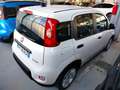 Fiat Panda 1.0 FireFly S&S Hybrid km 2.000 Bianco - thumbnail 9