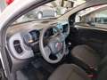 Fiat Panda 1.0 FireFly S&S Hybrid km 2.000 Bianco - thumbnail 15