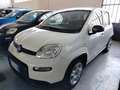 Fiat Panda 1.0 FireFly S&S Hybrid km 2.000 Bianco - thumbnail 4