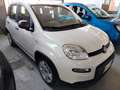 Fiat Panda 1.0 FireFly S&S Hybrid km 2.000 Bianco - thumbnail 10