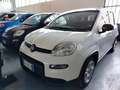 Fiat Panda 1.0 FireFly S&S Hybrid km 2.000 Bianco - thumbnail 1