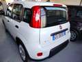 Fiat Panda 1.0 FireFly S&S Hybrid km 2.000 Bianco - thumbnail 7