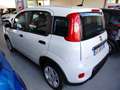 Fiat Panda 1.0 FireFly S&S Hybrid km 2.000 Bianco - thumbnail 6