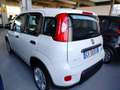 Fiat Panda 1.0 FireFly S&S Hybrid km 2.000 Bianco - thumbnail 5