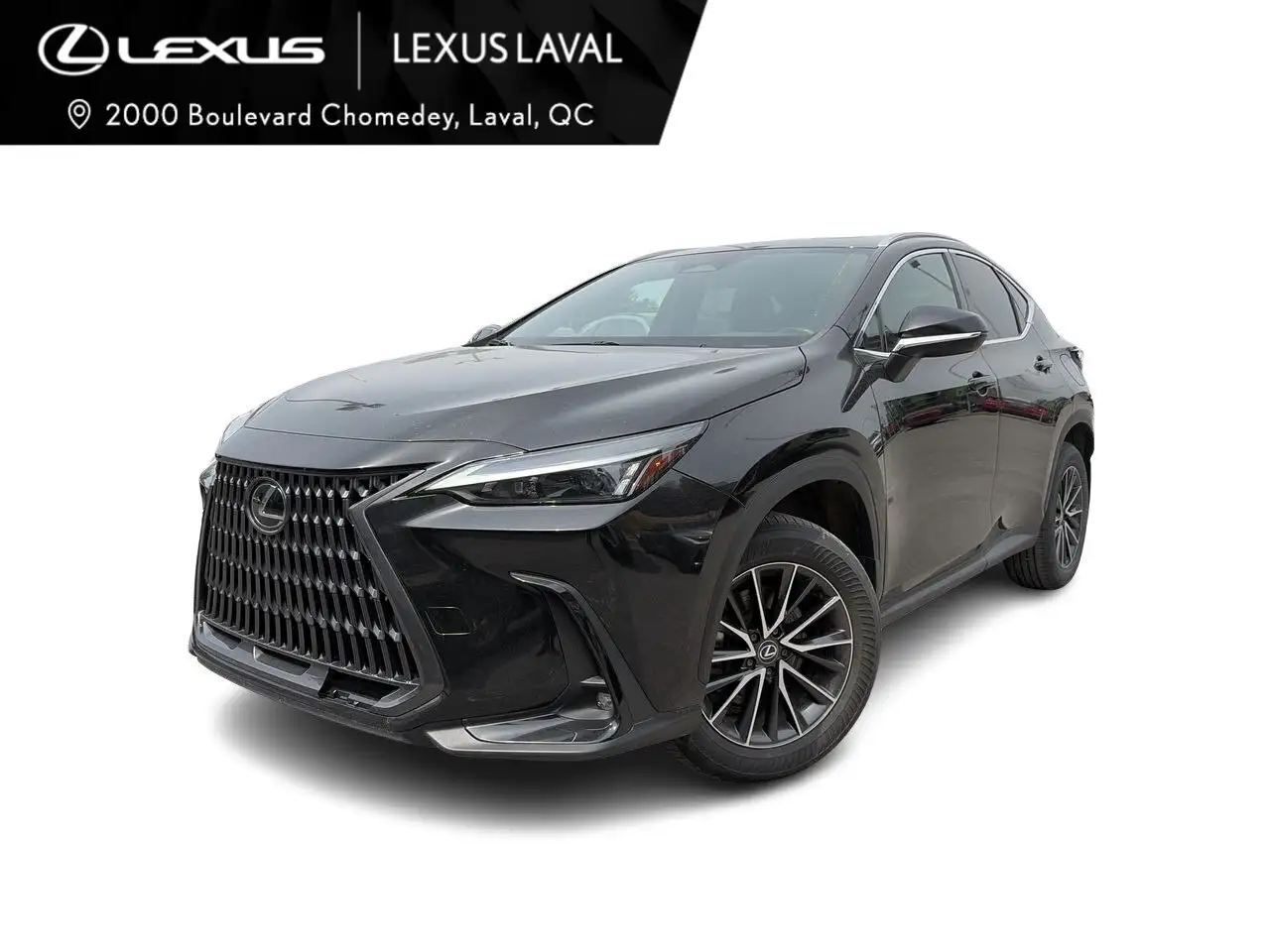 2024 Lexus NX