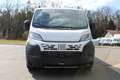 Fiat Ducato Maxi L4 Pritsche 140 10Zoll Navi Schwing... Weiß - thumbnail 6
