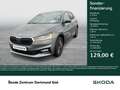 Skoda Fabia 1.0 TOUR CAM AHK-VORBEREITUNG NAVI SITZHZ. Gris - thumbnail 1