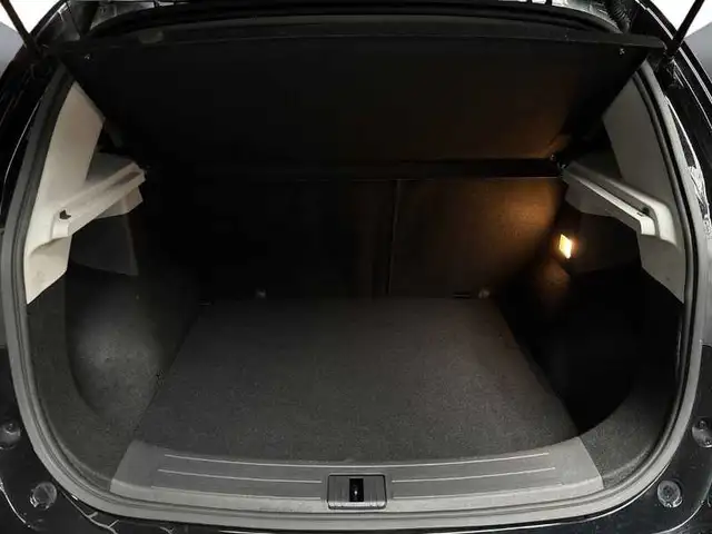 MG ZS view 7