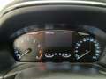 Ford Fiesta 5 Porte 1.1 75cv Titanium Grigio - thumbnail 10