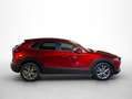 Mazda CX-30 2.0 Skyactiv-G Evolution 2WD 90kW Rojo - thumbnail 10