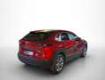 Mazda CX-30 2.0 Skyactiv-G Evolution 2WD 90kW Rojo - thumbnail 11