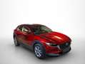 Mazda CX-30 2.0 Skyactiv-G Evolution 2WD 90kW Rojo - thumbnail 9