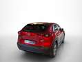 Mazda CX-30 2.0 Skyactiv-G Evolution 2WD 90kW Rojo - thumbnail 12