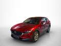 Mazda CX-30 2.0 Skyactiv-G Evolution 2WD 90kW Rojo - thumbnail 7