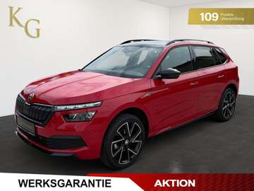 1,0 TSI Monte Carlo DSG ab ca. 210€ monatlich