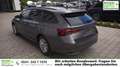 Skoda Octavia Combi Business 1.5 TSI mHEV 7-Gang-DSG 110 kW (... Grau - thumbnail 1