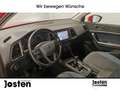 SEAT Ateca Style 1.0 TSI  NAVI LED PARKASSIST SITZHZG Rosso - thumbnail 6