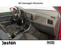 SEAT Ateca Style 1.0 TSI  NAVI LED PARKASSIST SITZHZG Rosso - thumbnail 15