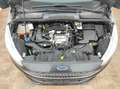 Ford C-Max 1.0 NAVI USB SHZ TEMP BC LED PDC 6-GANG EURO-6 SOS Gris - thumbnail 15