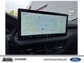 Ford Kuga Kuga 2.5 FHEV ST-LINE X *GJR*WINTER-PKT* Grün - thumbnail 13