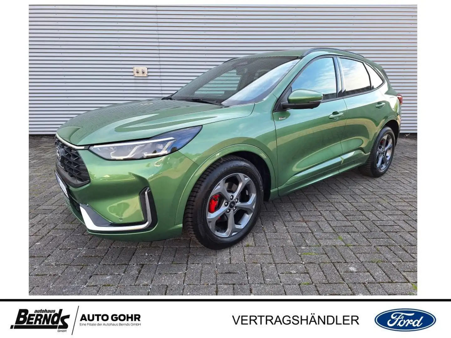 Ford Kuga Kuga 2.5 FHEV ST-LINE X *GJR*WINTER-PKT* Grün - 1