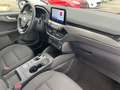Ford Kuga 2.5 l Duratec Plug-In Hybrid (PHEV) Titanium Autom Rot - thumbnail 13
