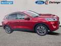 Ford Kuga 2.5 l Duratec Plug-In Hybrid (PHEV) Titanium Autom Rot - thumbnail 8