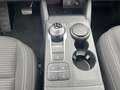Ford Kuga 2.5 l Duratec Plug-In Hybrid (PHEV) Titanium Autom Rot - thumbnail 25