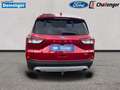 Ford Kuga 2.5 l Duratec Plug-In Hybrid (PHEV) Titanium Autom Rot - thumbnail 5