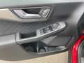 Ford Kuga 2.5 l Duratec Plug-In Hybrid (PHEV) Titanium Autom Rot - thumbnail 16