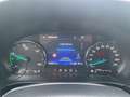 Ford Kuga 2.5 l Duratec Plug-In Hybrid (PHEV) Titanium Autom Rot - thumbnail 20