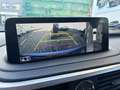 Lexus RX 450h F-SPORT/PANODACH/HEAD-UP/TTW/STANDHEIZUNG - thumbnail 19