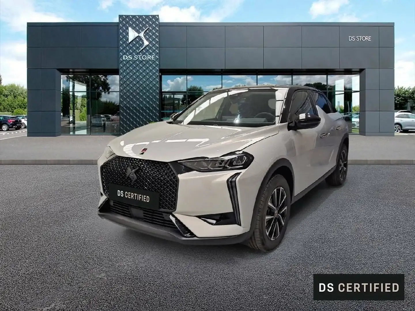 DS Automobiles DS 3 PureTech 74kW (100CV) Performance Line Gris - 1