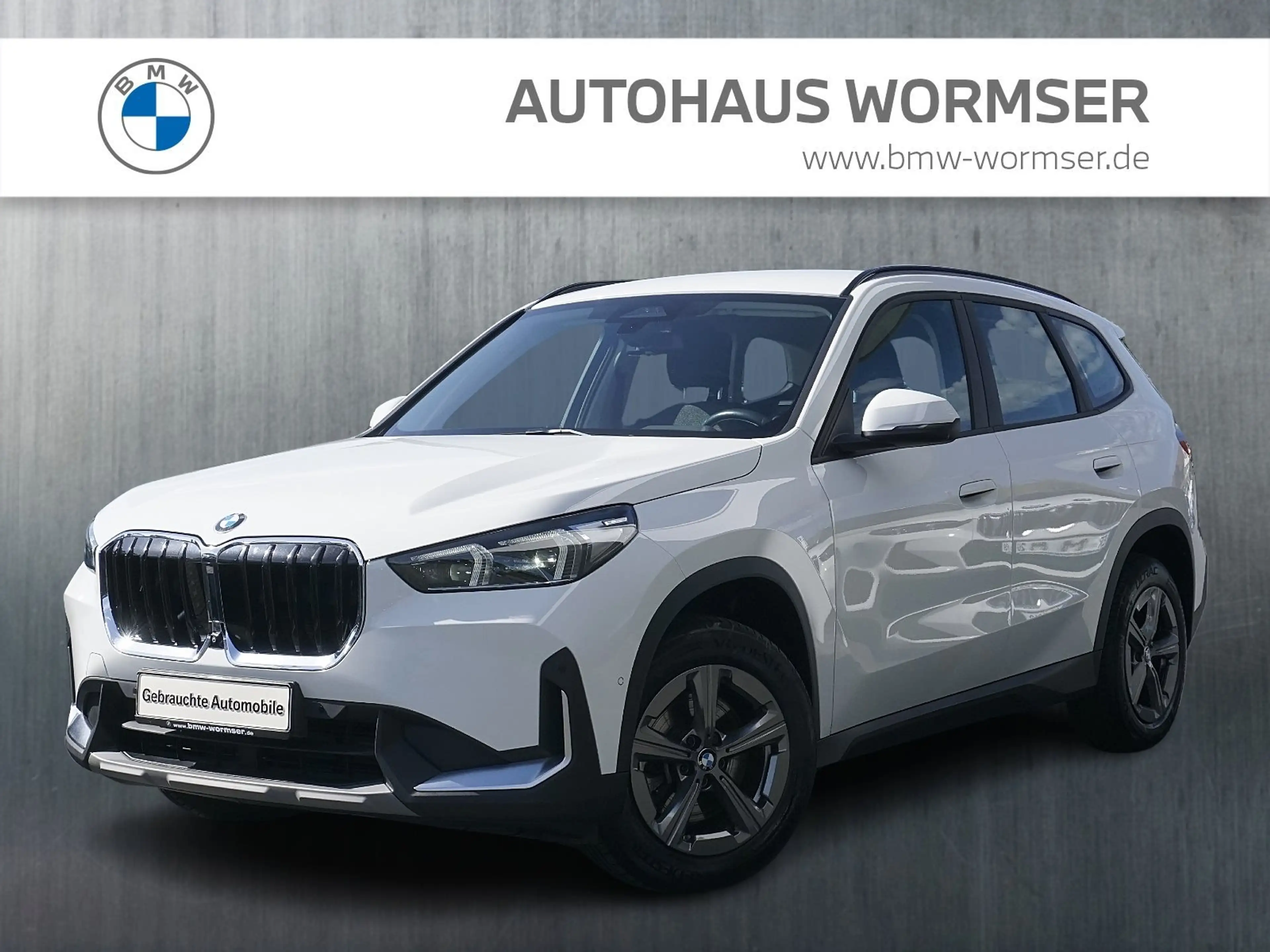 BMW X1 sDrive20i Advantage Head-Up+Navi+Kamera+Apple