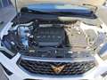 CUPRA Ateca VZ 2.0 TSI DSG 4Drive 360KAM+CARPLAY+NAVI Klima Weiß - thumbnail 14