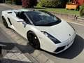 Lamborghini Gallardo LP 520 Spyder E-Gear Deutsch!   Lifting Kamera Nav Blanco - thumbnail 13