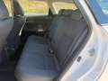 Toyota Auris 5p 1.8 hsd Executive - thumbnail 12