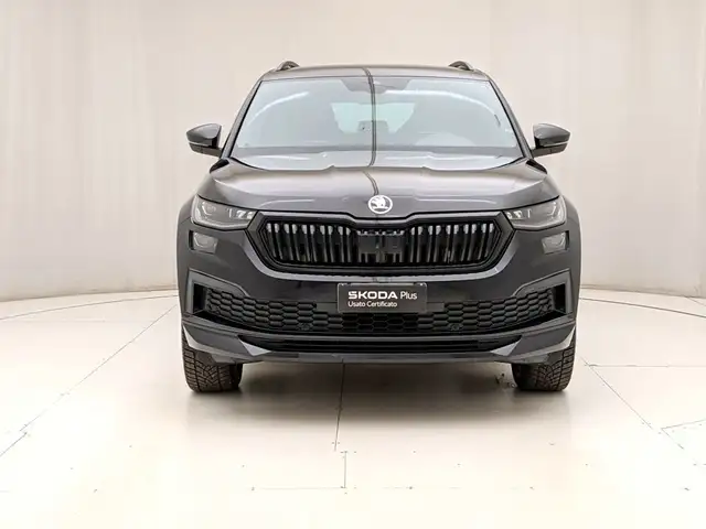 Skoda Kodiaq view 2