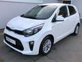 Kia Picanto 1.0 Edition 7 Drive Klima Shz Lhz LM-Felgen DAB Weiß - thumbnail 1