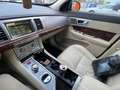 Jaguar XF XF 3,0 Diesel Luxury Luxury Grün - thumbnail 11