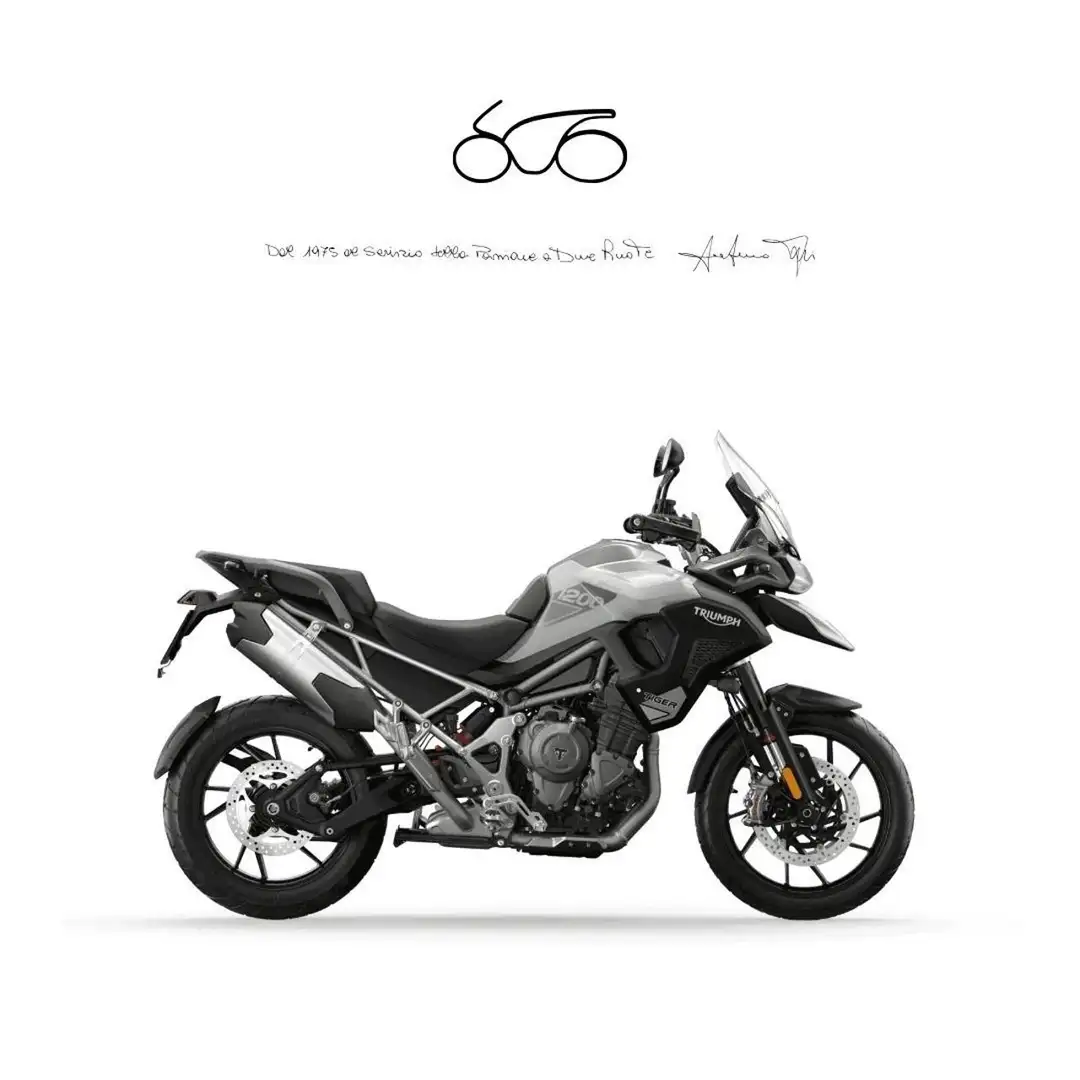 Triumph Tiger 1200 GT PRO Alb - 1
